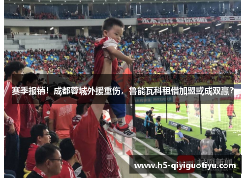赛季报销！成都蓉城外援重伤，鲁能瓦科租借加盟或成双赢？